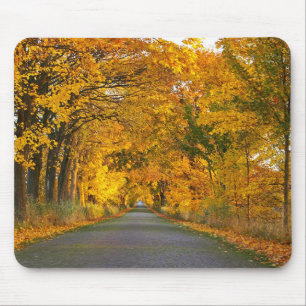 Herbststraße Allee Trees Away Road Mousepad
