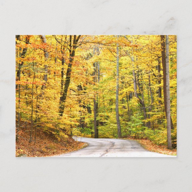 Herbststraße Postkarte (Vorderseite)