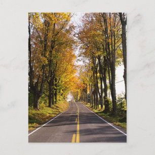 Herbststraße Postkarte