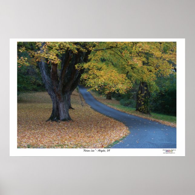 Herbststrecke Poster (Vorne)