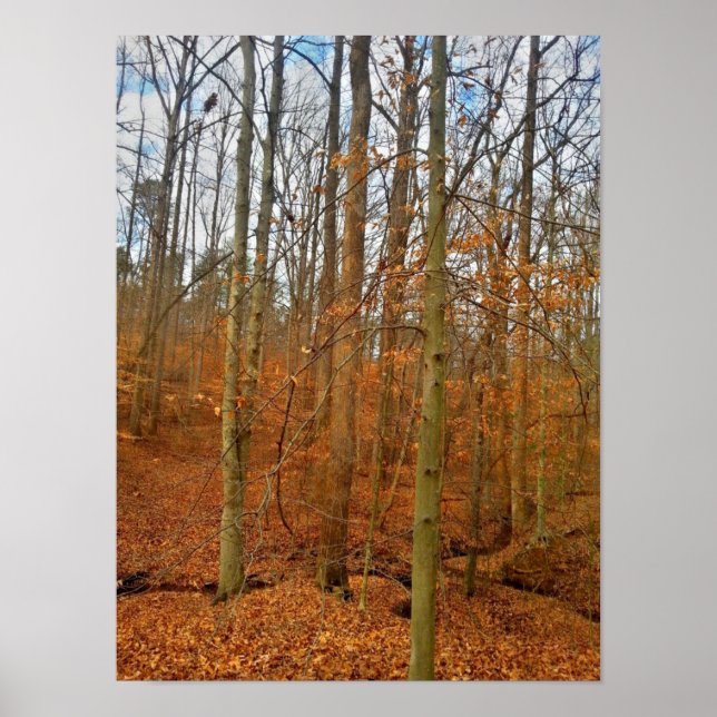 Herbststrom Poster (Vorne)