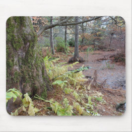 Herbstszene in einem botanischen Garten. Mousepad