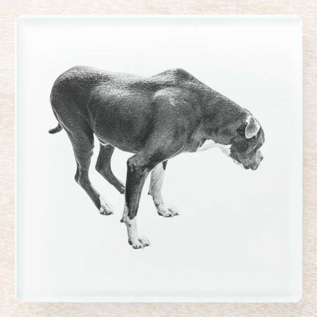 Herbsttafelwächter Glasuntersetzer (Vorderseite)