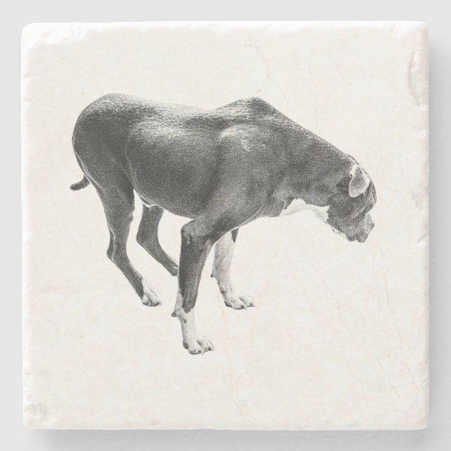 Herbsttafelwächter Steinuntersetzer (Vorderseite)