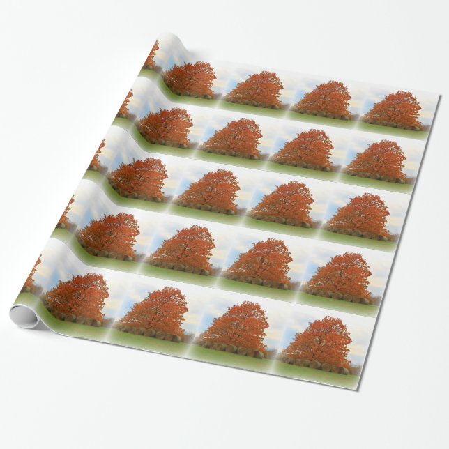 Herbsttag Geschenkpapier (Ungerollt)