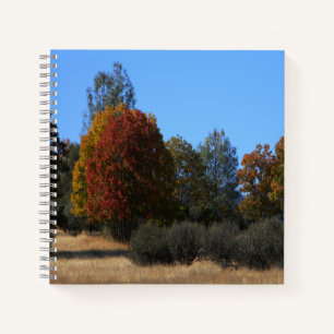 Herbsttag im Land...... Notizbuch