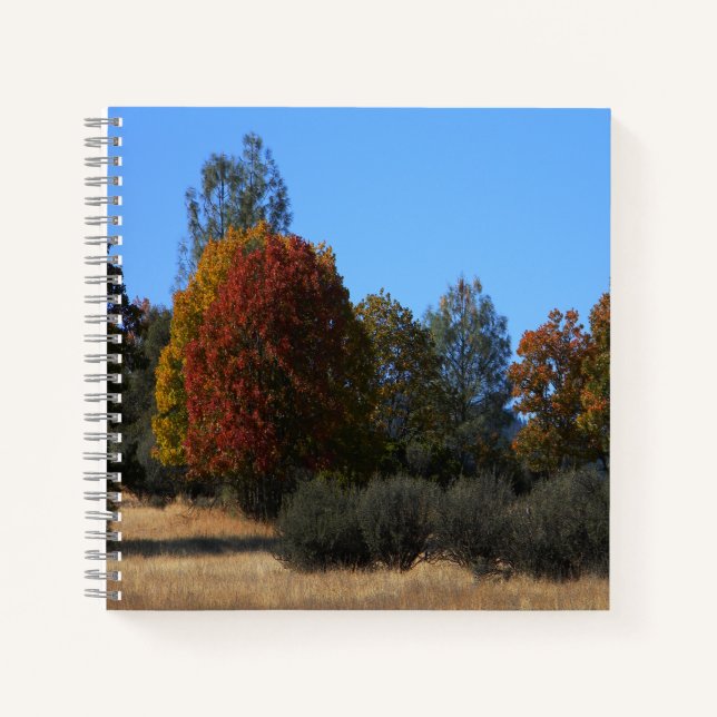 Herbsttag im Land...... Notizbuch (Vorderseite)