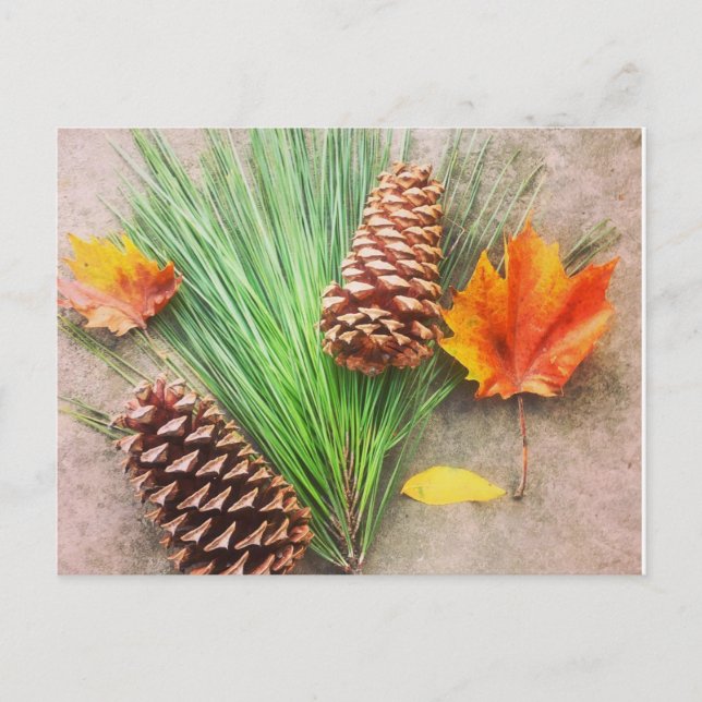 Herbsttage Postkarte (Vorderseite)