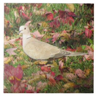 Herbsttaube Fliese