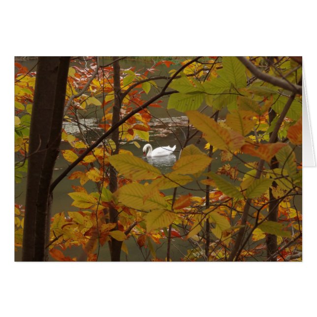 Herbstteich mit Schwan (Vorderseite (Horizontal))
