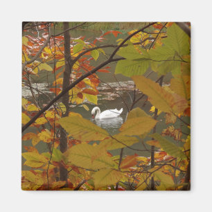 Herbstteich mit Schwan Magnet