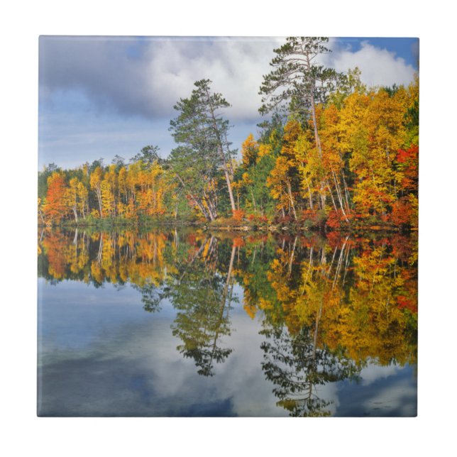 Herbstteich Reflektionen, Maine Fliese (Vorderseite)