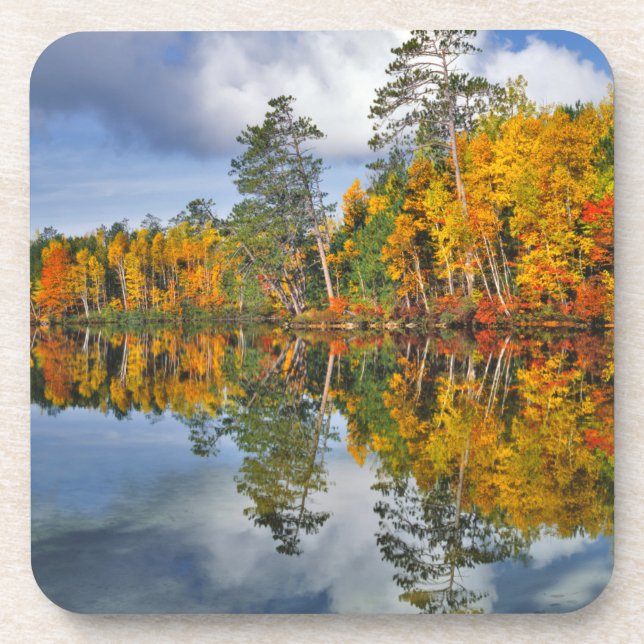 Herbstteich Reflektionen, Maine Getränkeuntersetzer (Vorderseite)