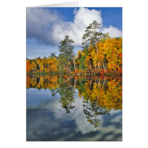 Herbstteichreflexionen, Maine