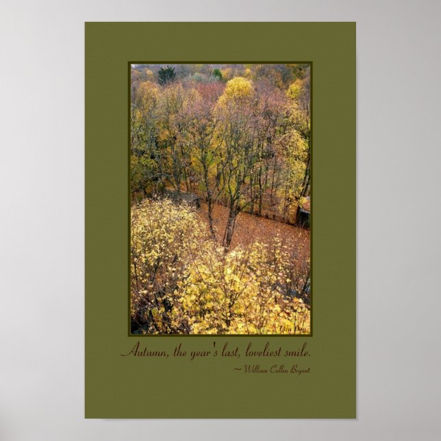 "Herbstträume" - Poster (Vorne)