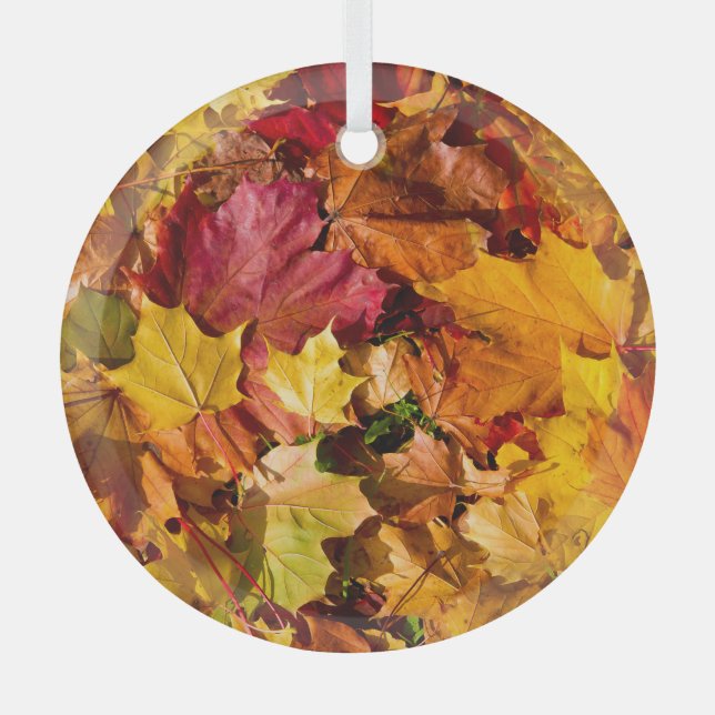 Herbstübergang: farbiges Nahtloses Array. Ornament Aus Glas (Vorderseite)