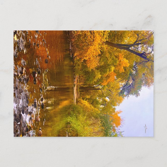 Herbstufer Postkarte (Vorderseite)