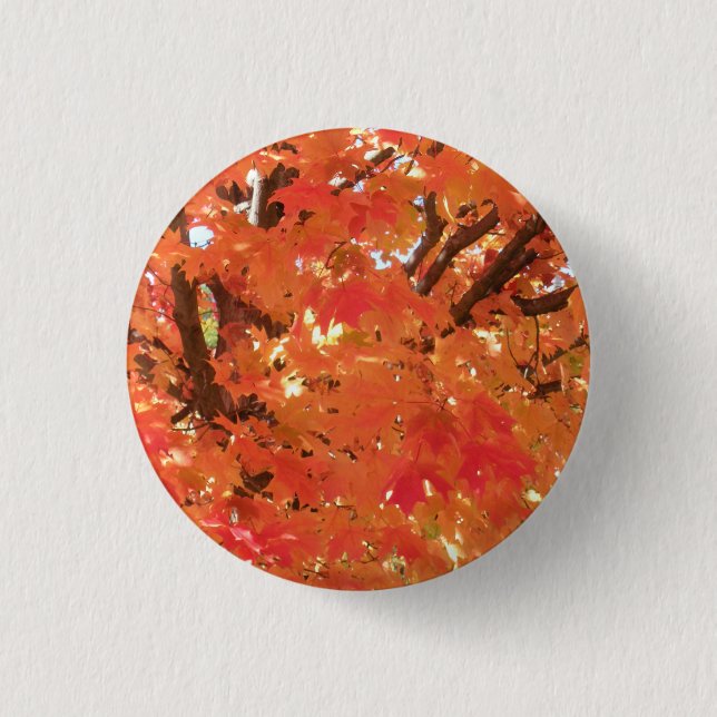 Herbstunterschiede 1 button (Vorderseite)