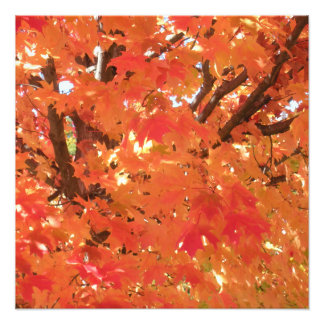 Herbstunterschiede 1 fotodruck