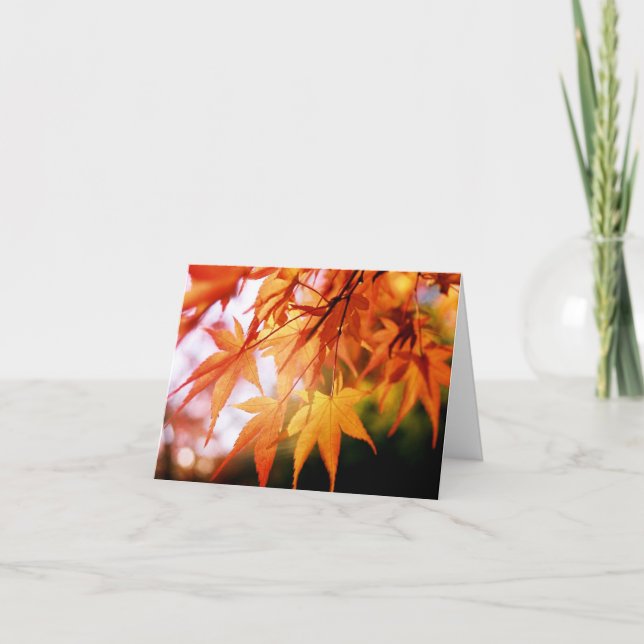 Herbstunterschiede im japanischen Holz Karte (Vorderseite)