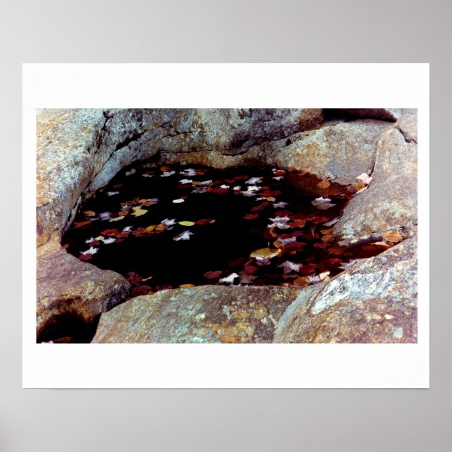 Herbstunterschiede in einem Poster (Vorne)