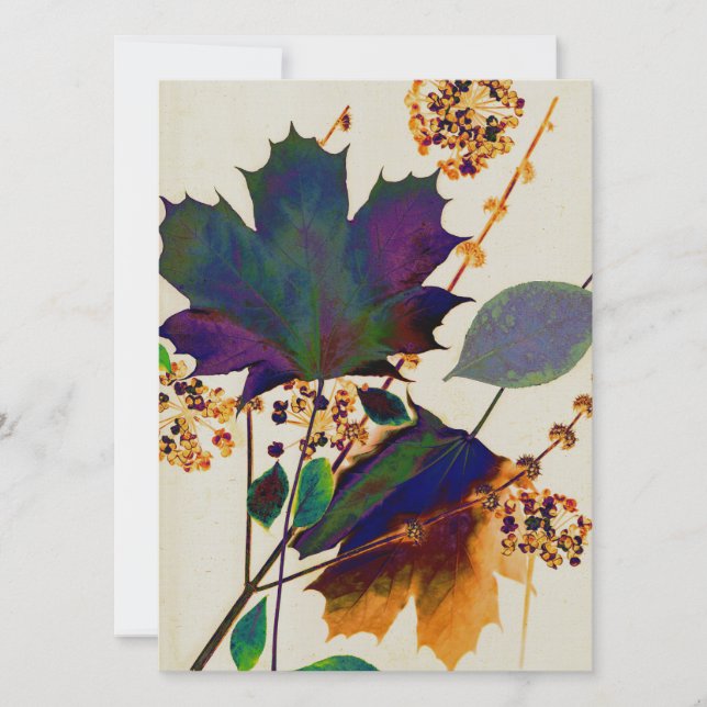 Herbstunterschiede in Royal Colors (Vorderseite)