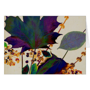 Herbstunterschiede in Royal Colors