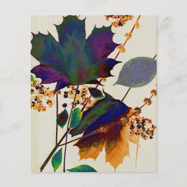 Herbstunterschiede in Royal Colors Flyer (Vorne)