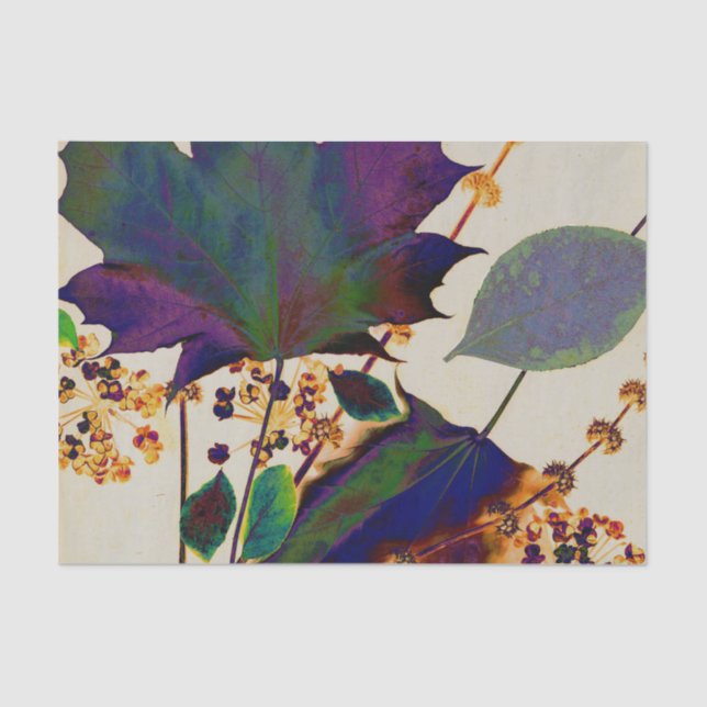 Herbstunterschiede in Royal Colors Seidenpapier (Vorderseite)