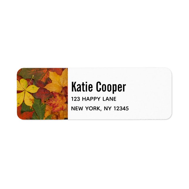 Herbstunterschiede in rustikalen Farben (Vorne)