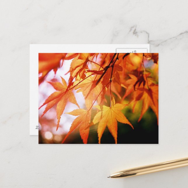 Herbstunterschiede: Japan Postkarte (Vorderseite/Rückseite Beispiel)