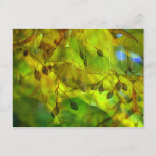 Herbstvision Postkarte
