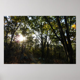 Herbstvormittag im Shenandoah-Nationalpark Poster