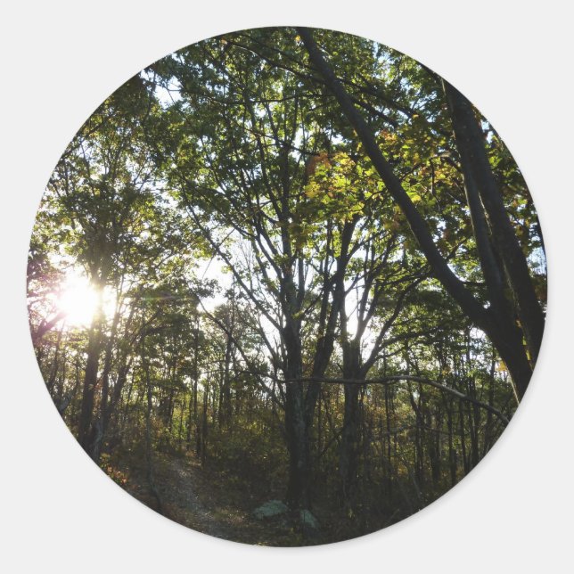 Herbstvormittag im Shenandoah-Nationalpark Runder Aufkleber (Vorderseite)