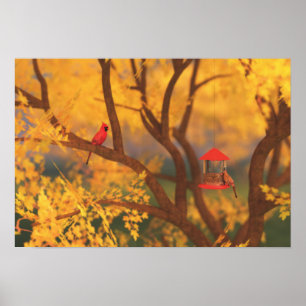 Herbstwächter Print Poster