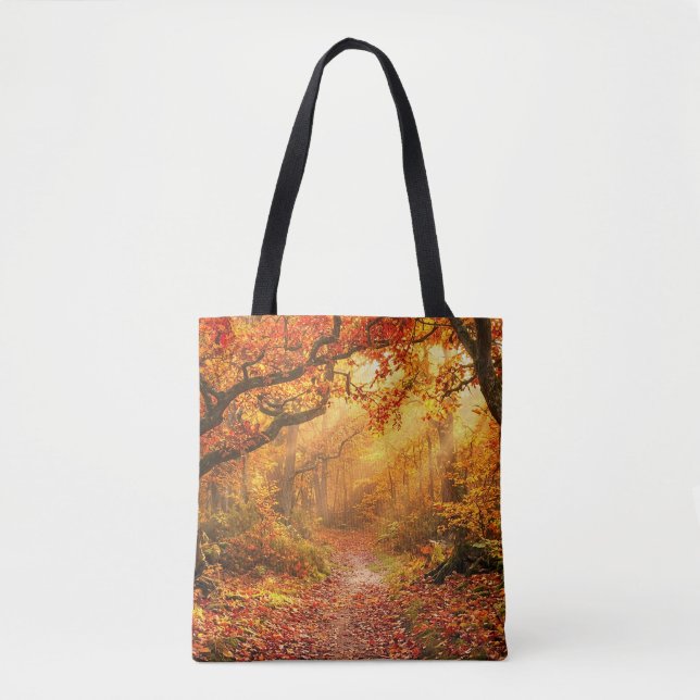 Herbstwald (Vorderseite)