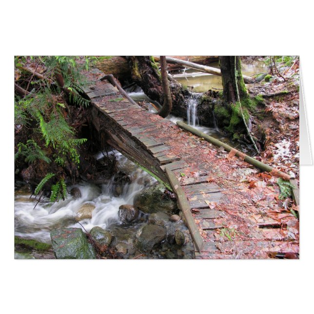 Herbstwald (Vorderseite (Horizontal))