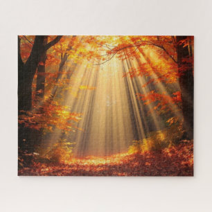 Herbstwald bei sonnigem Wetter Puzzle