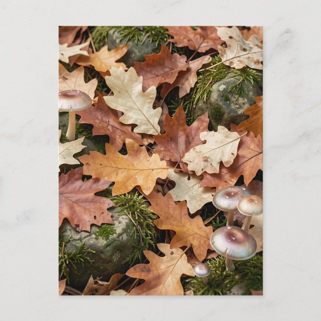 Herbstwald-Boden-Pilze Moos Gefallene Blätter Postkarte (Vorderseite)