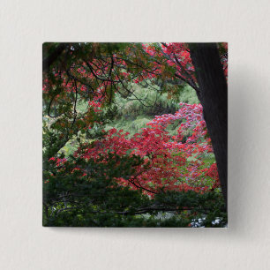 Herbstwald Button