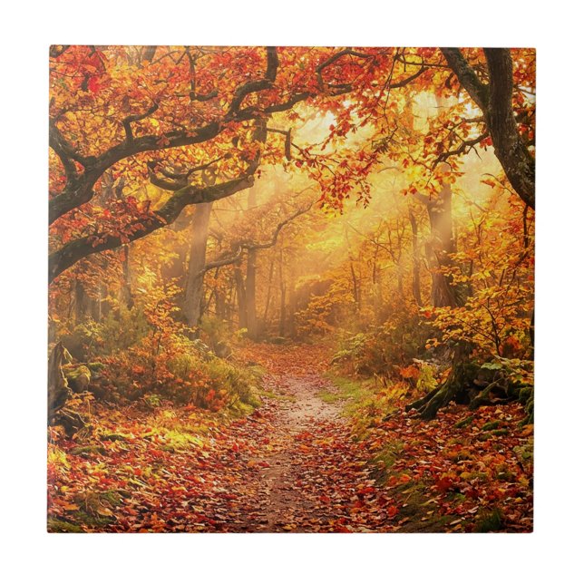 Herbstwald Fliese (Vorderseite)