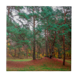 Herbstwald Fliese