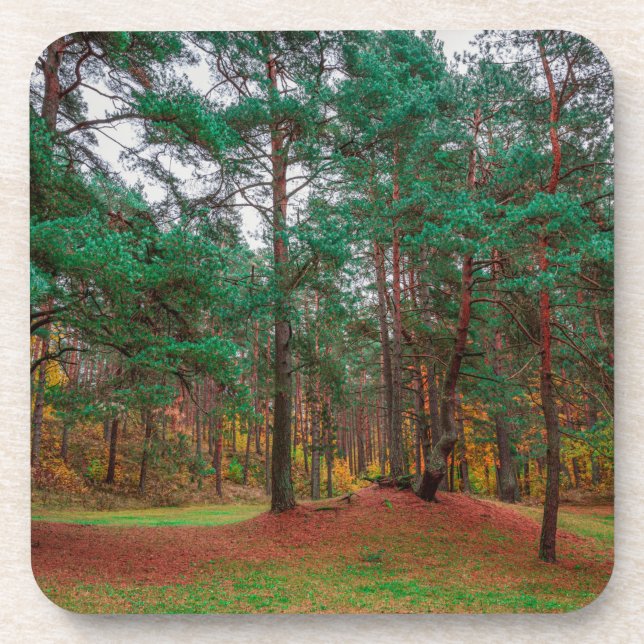 Herbstwald Getränkeuntersetzer (Vorderseite)