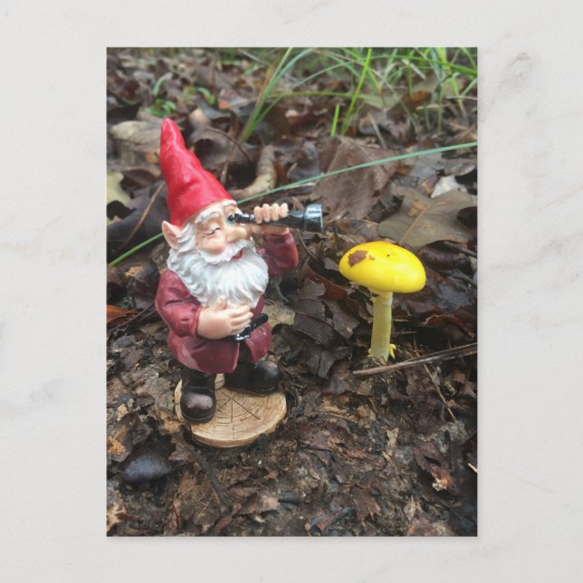 Herbstwald Gnome Postkarte (Vorderseite)