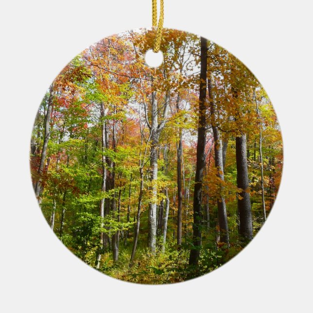 Herbstwald I Herbstlandschaftsfotografie Keramik Ornament (Vorne)