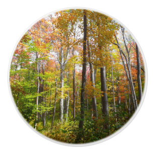 Herbstwald I Herbstlandschaftsfotografie Keramikknauf