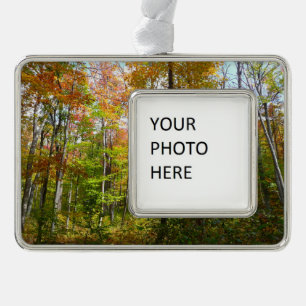 Herbstwald I Herbstlandschaftsfotografie Rahmen-Ornament Silber