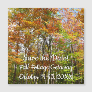 Herbstwald II Herbstlandschaft Save the Date Magnetkarte