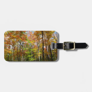 Herbstwald II Herbstlandschaftsfotografie Gepäckanhänger