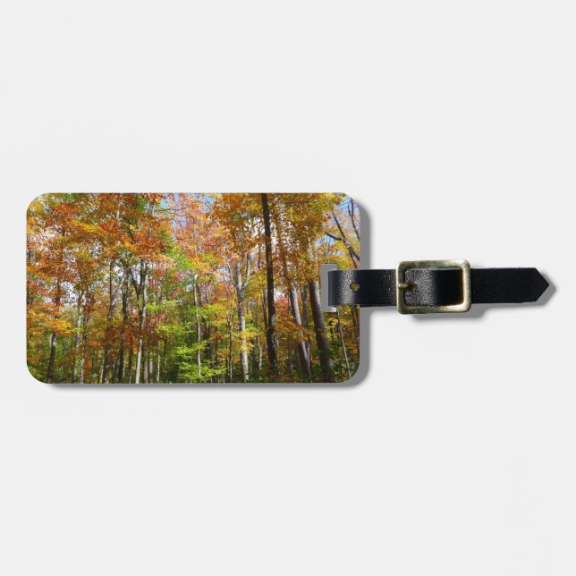 Herbstwald II Herbstlandschaftsfotografie Gepäckanhänger (Vorderseite horizontal)